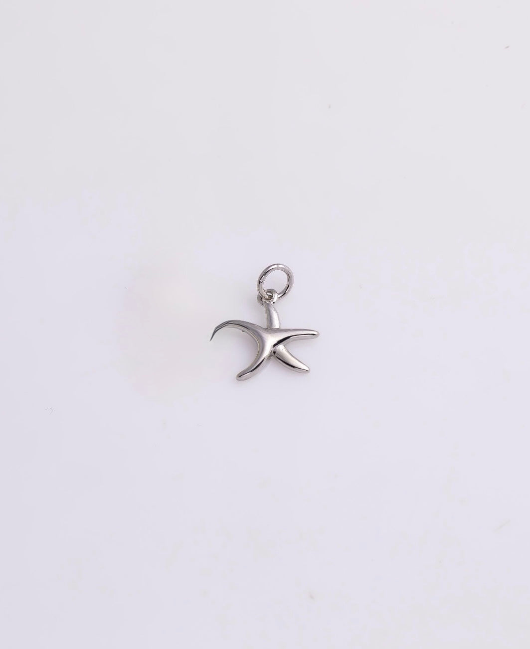 Silver Star Fish Charm
