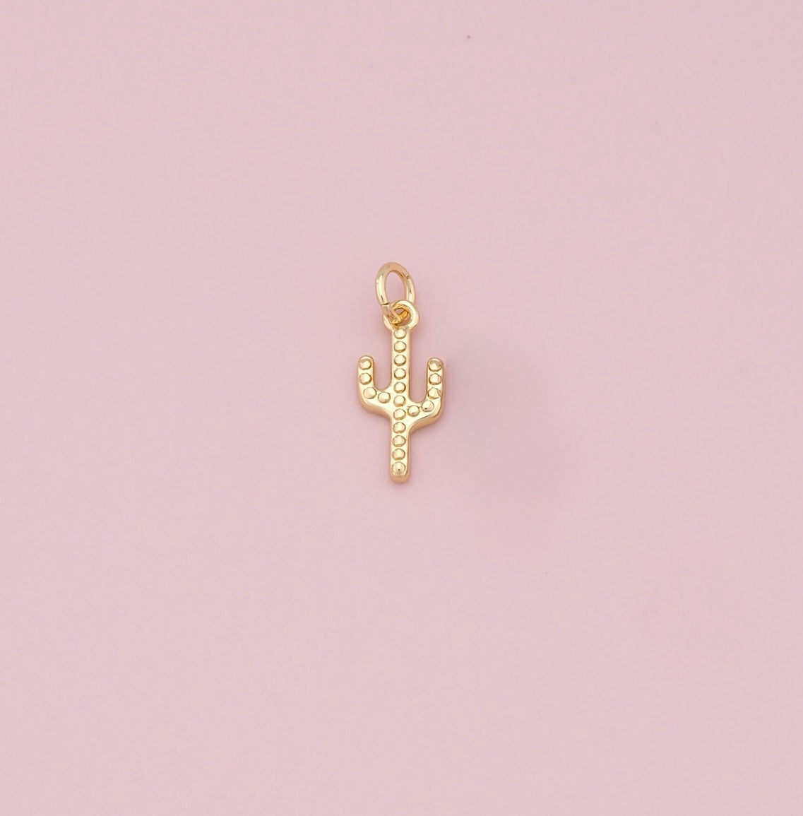 Cactus Charm