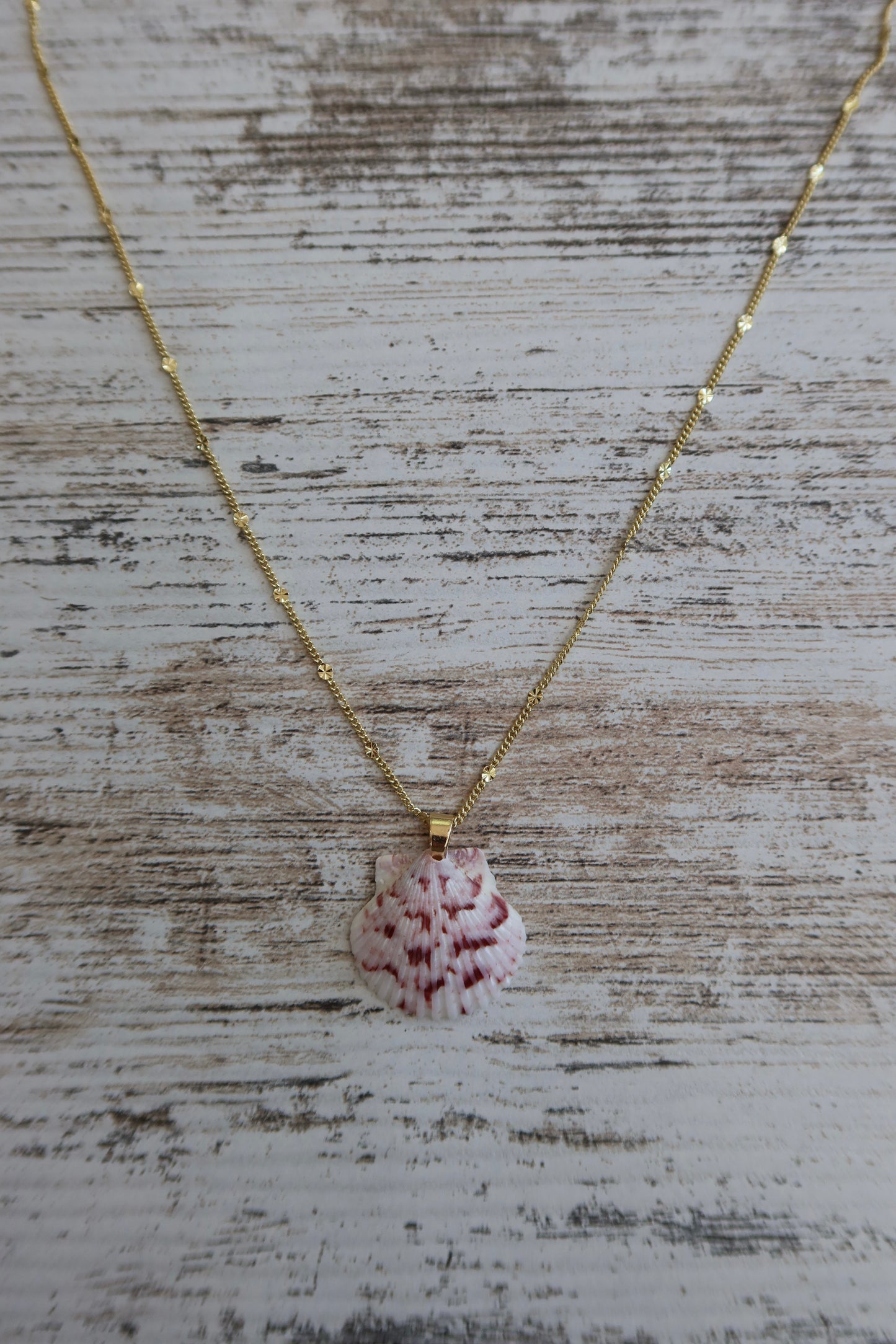 Starburst Seashell Necklace