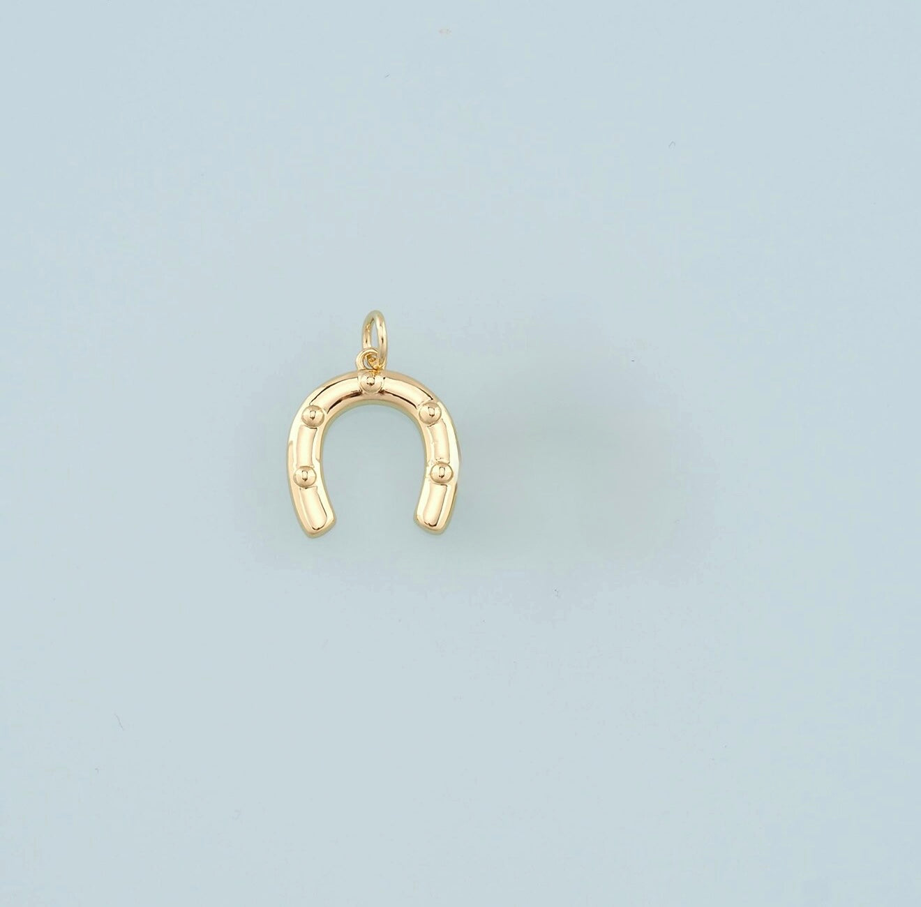Horseshoe Charm