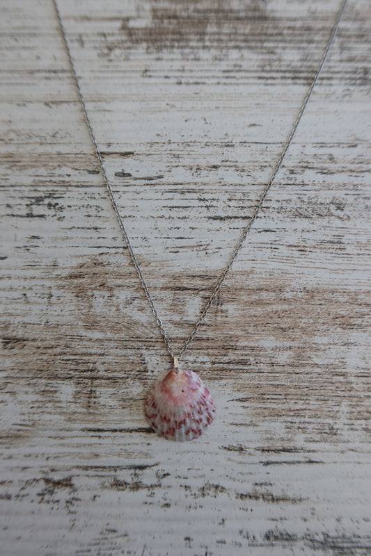 Dainty Seashell Necklace