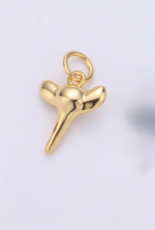 Shark Tooth Charm