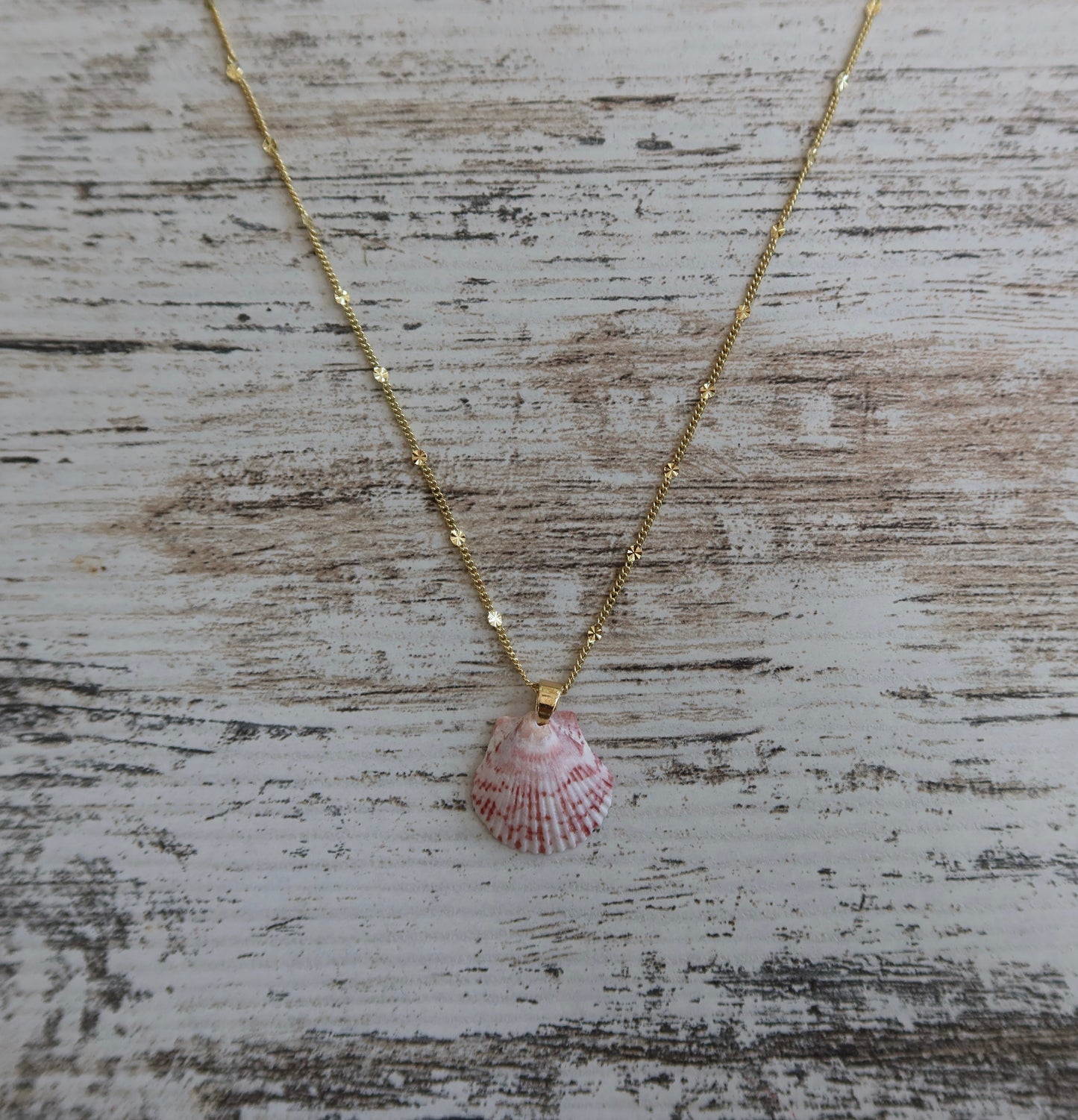 Starburst Seashell Necklace