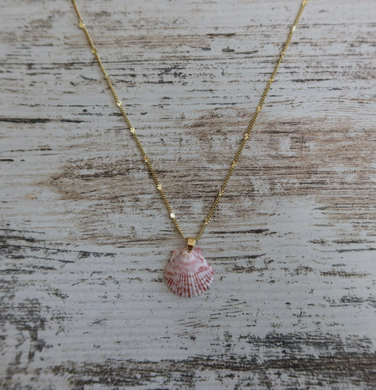 Starburst Seashell Necklace