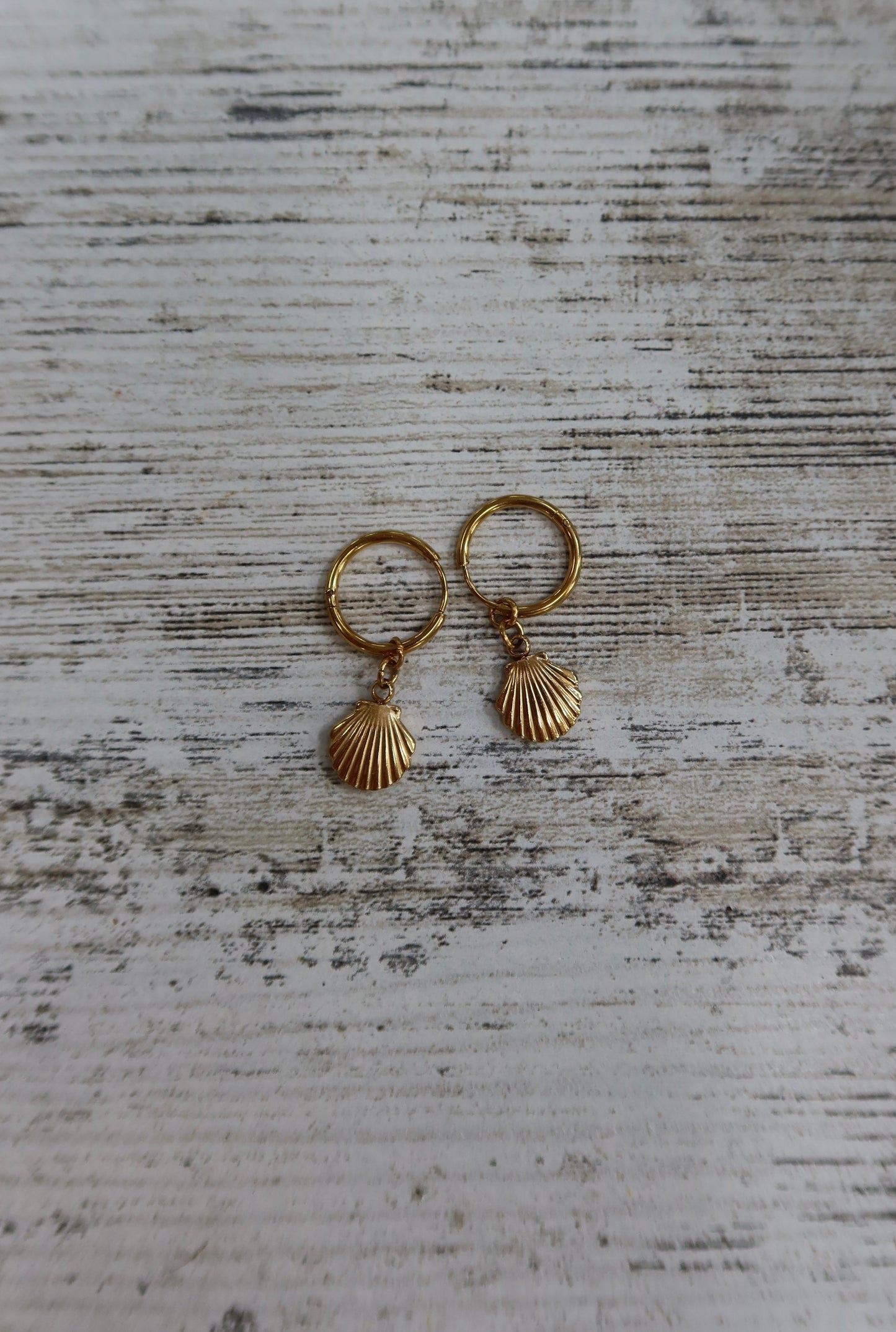 shell earrings
