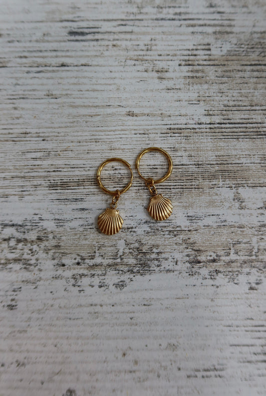 shell earrings