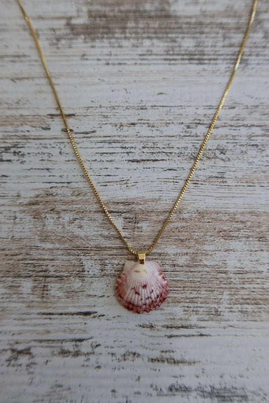 Mermaid Seashell Necklace