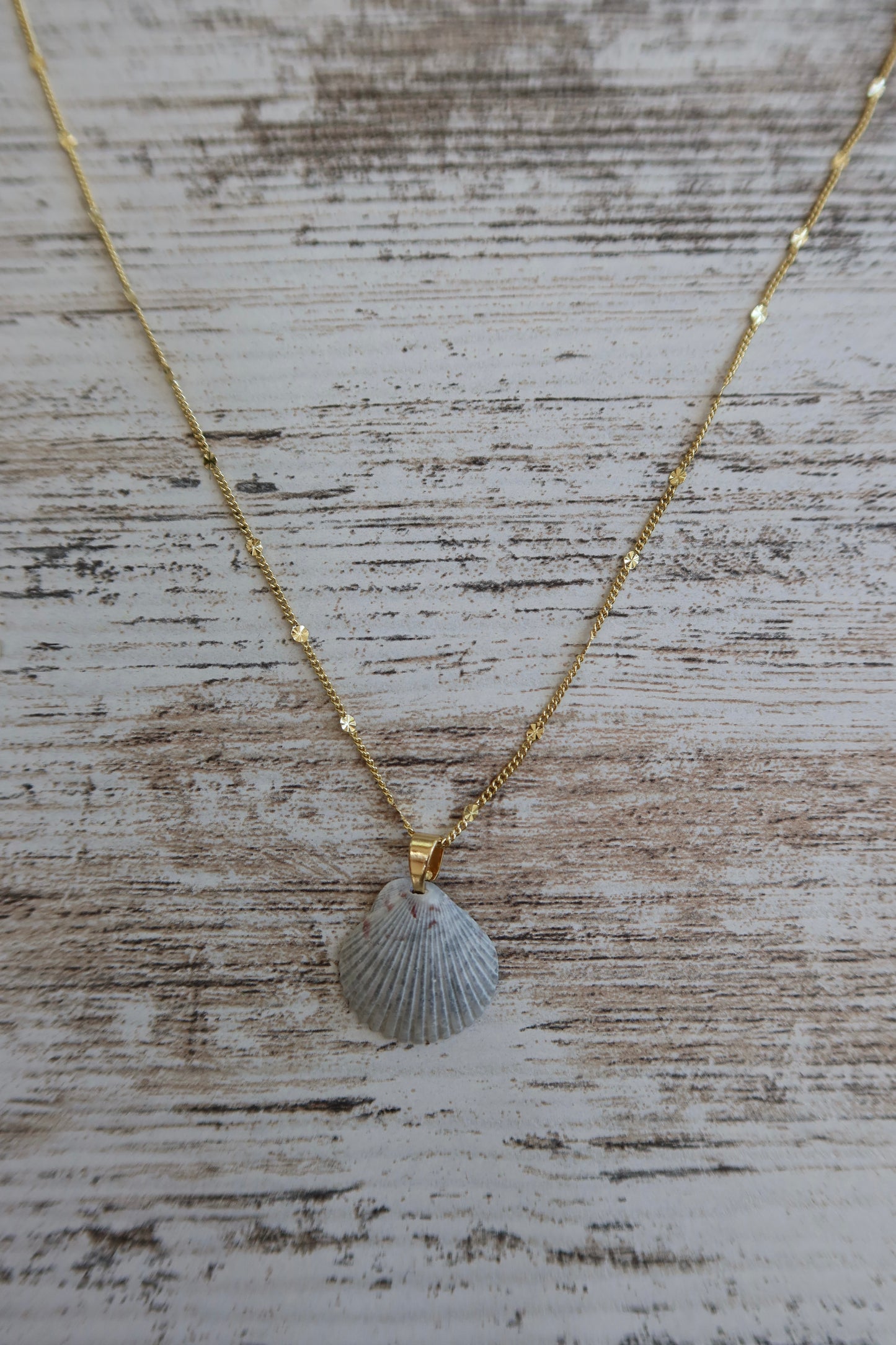 Starburst Seashell Necklace