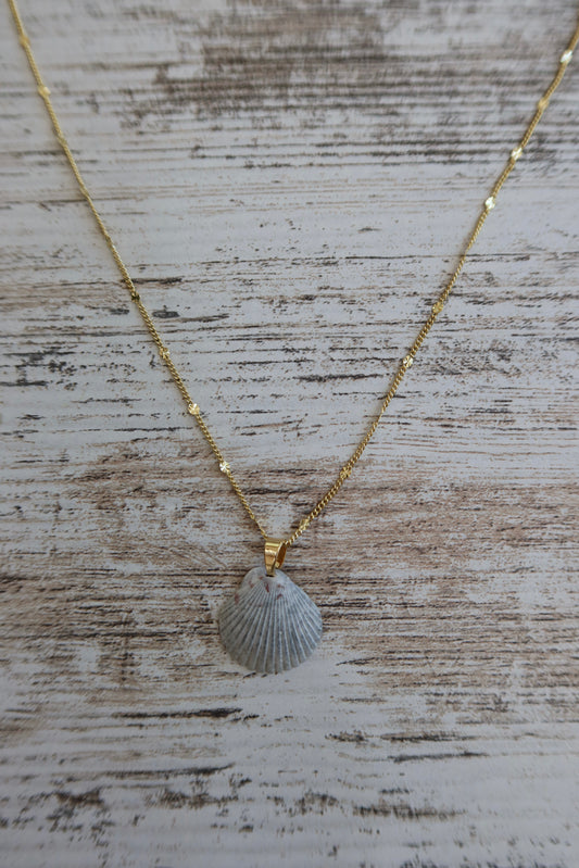 Starburst Seashell Necklace