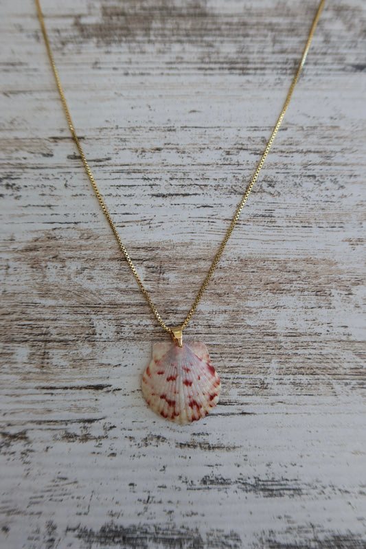 Mermaid Seashell Necklace