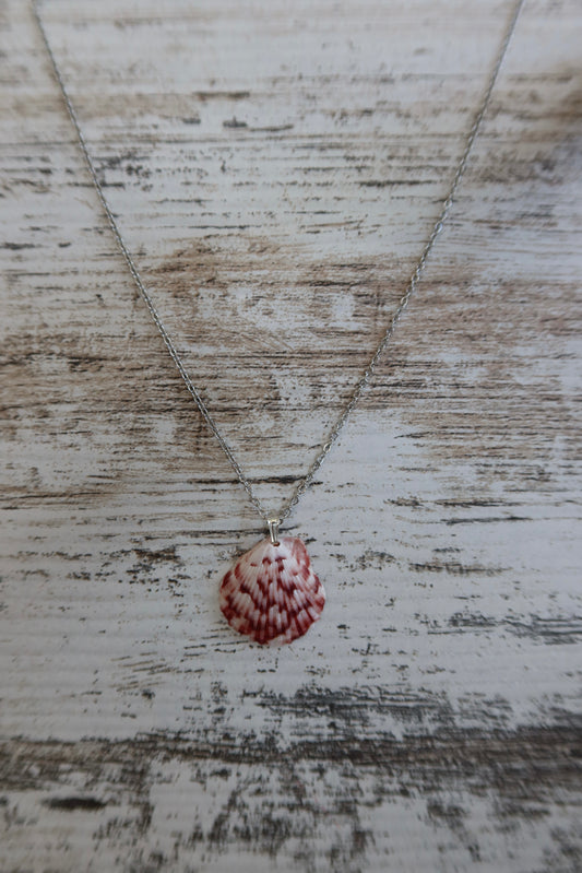Dainty Seashell Necklace