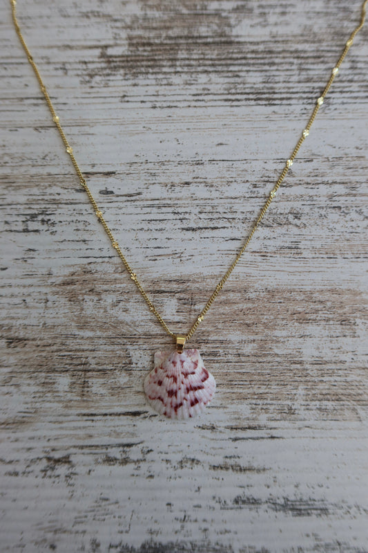 Starburst Seashell Necklace