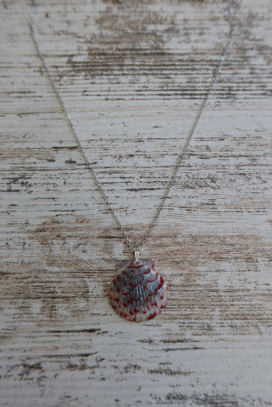 Dainty Seashell Necklace