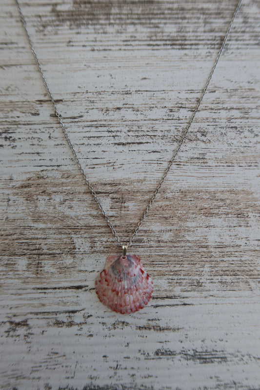 Dainty Seashell Necklace