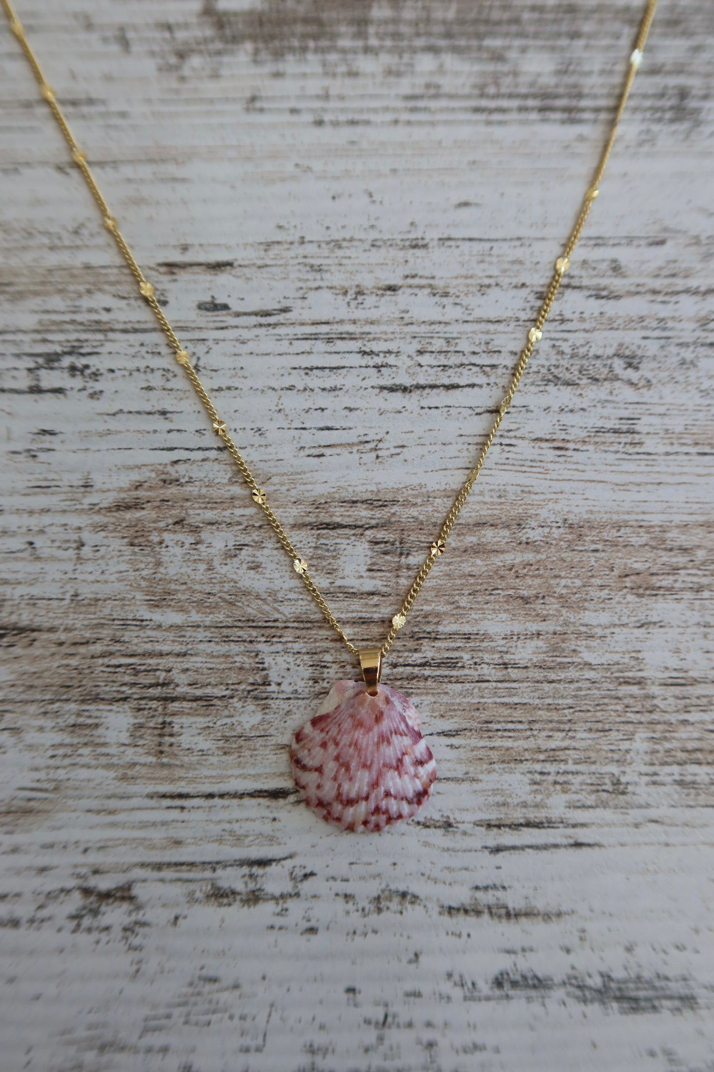 Starburst Seashell Necklace