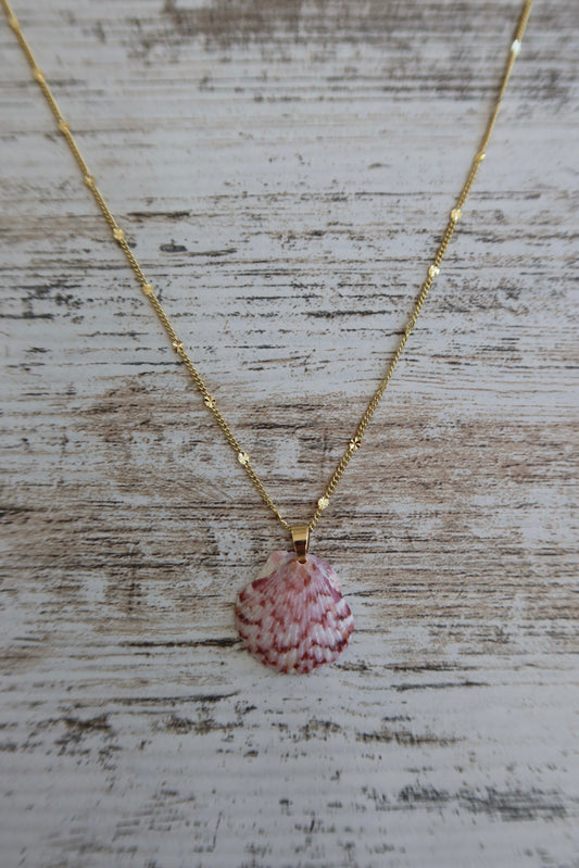 Starburst Seashell Necklace