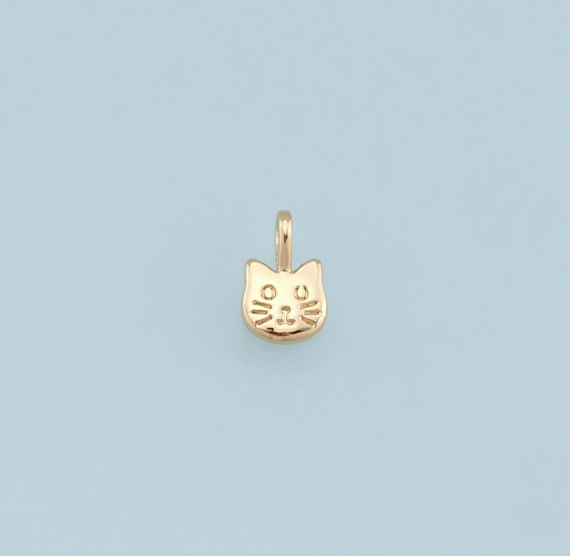 Cat Charm