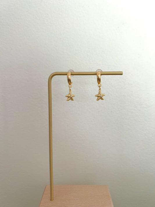 Starfish Earrings